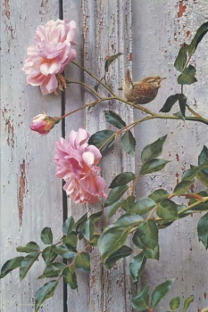 Original Painting, Summer Roses Winter Wren by Carl Brenders