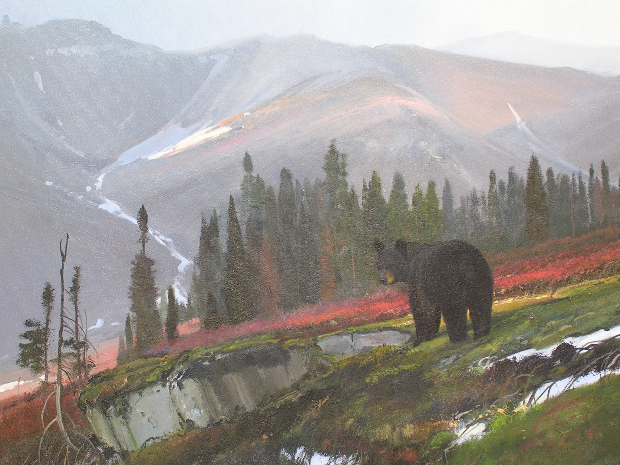 Original Painting, Black Bear by Nicholas Coleman