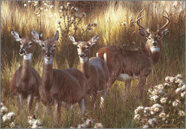 Original Painting, Power and Grace by Carl Brenders