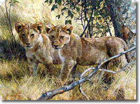 Original Painting, The Young Explorers by Carl Brenders