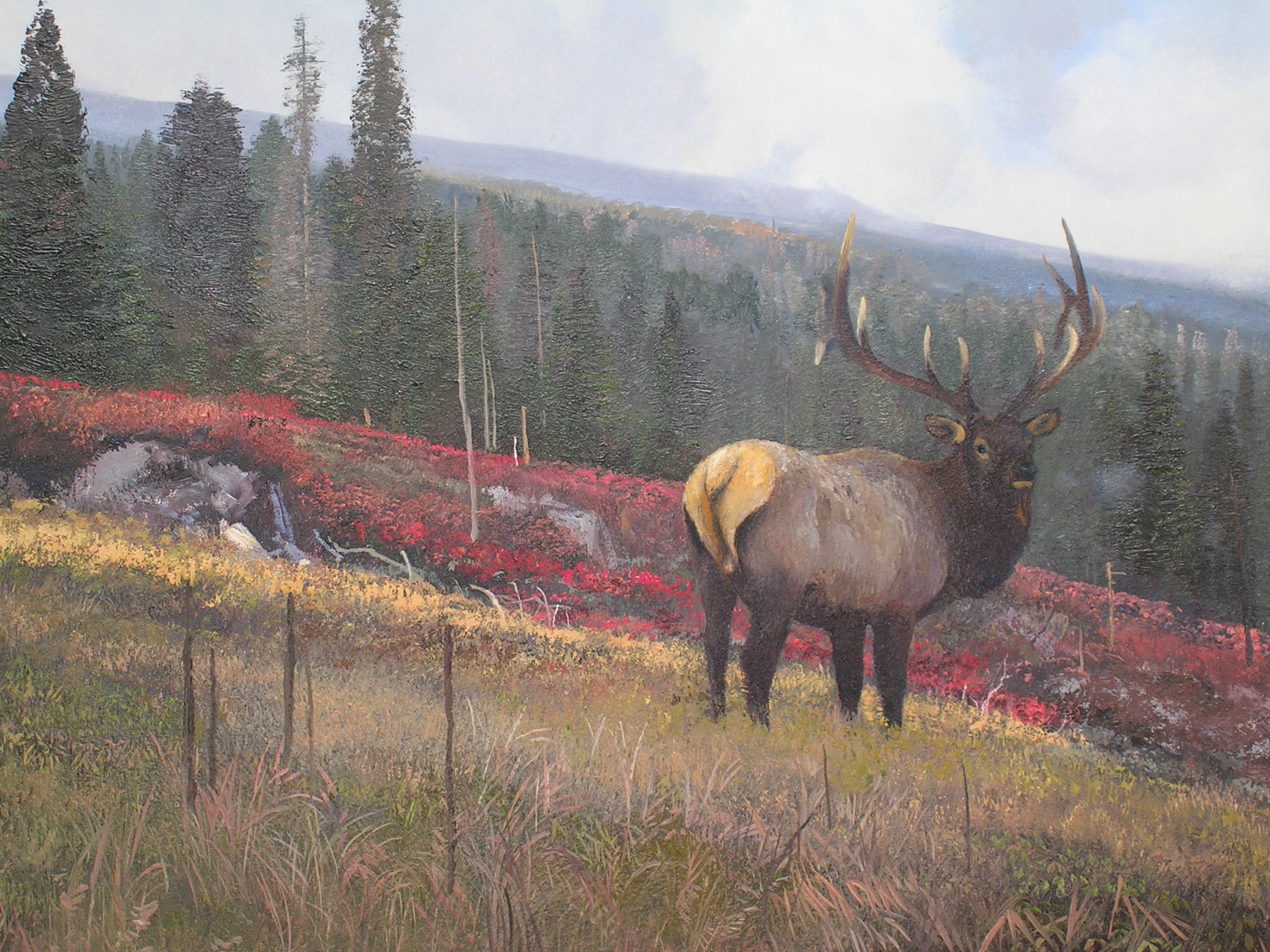 Original Painting, Elk by Michael Coleman
