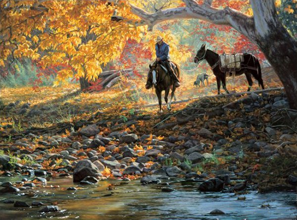 A Road Less Traveled by Tim Cox