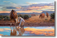 Reflections of a Passing Day by Tim Cox