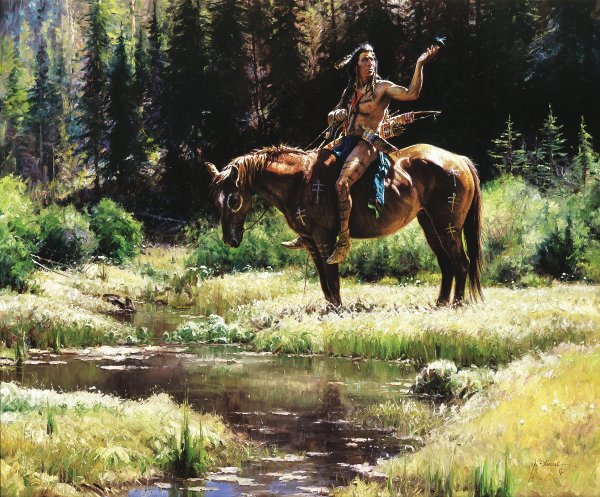 Dragonflies by Martin Grelle