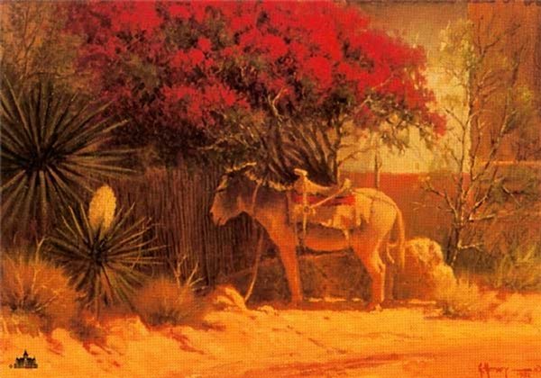 Flowers of Ixtapan by G. Harvey by G. Harvey