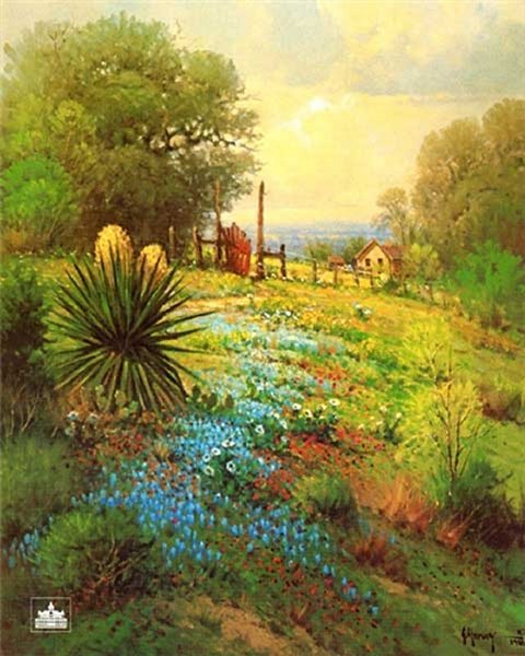 Hill Country Spring by G. Harvey by G. Harvey
