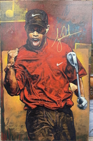 Tiger Woods - The Shot by Stephen Holland