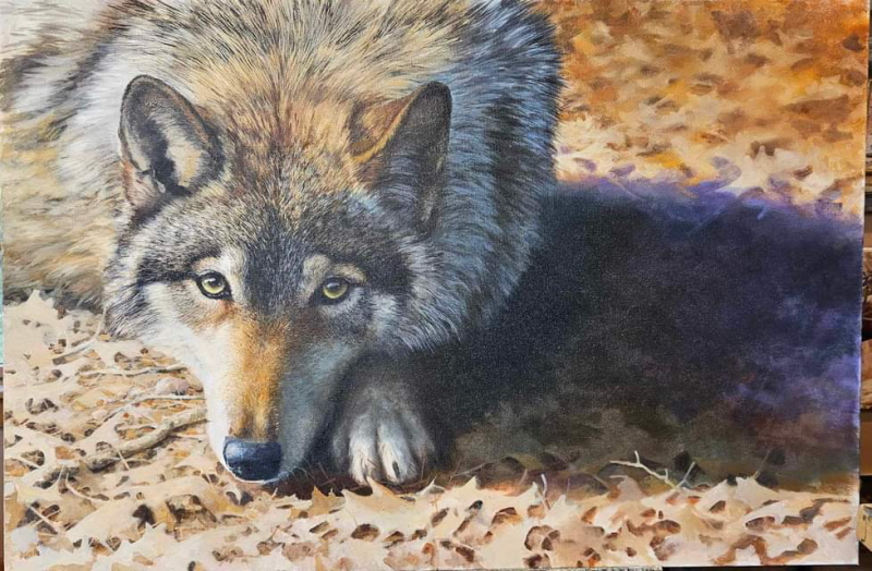 Original painting Takaya, the Wolf that Waits by Bonnie Marris