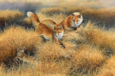Original Painting, Outfoxed by Bonnie Marris