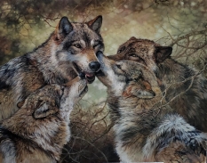 Original Painting, Pack Meeting by Bonnie Marris