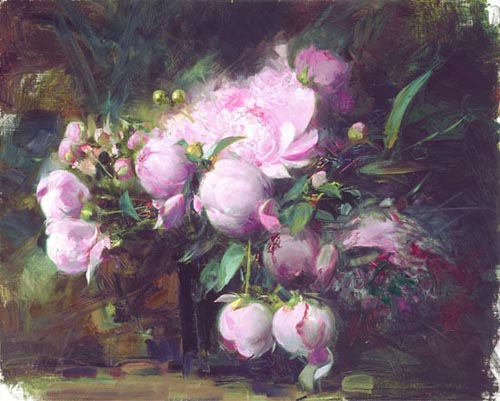 Peonies by Pino