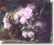 Peonies by Pino