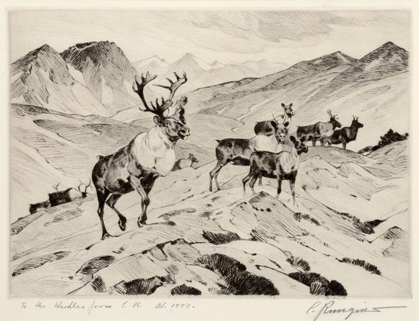 Original Oil on Canvas, Above Timberline Original Pencil Drawing by Carl Rungius