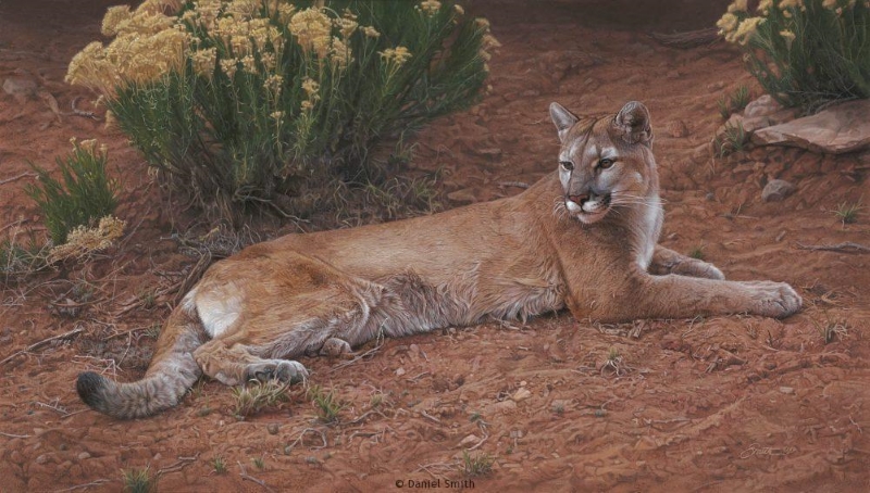 Rabbitbrush Refuge Original Painting by Daniel Smith